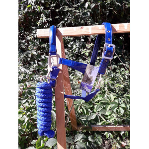 Licol bleu roi taille cob