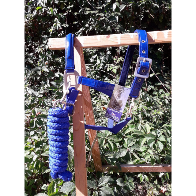Licol bleu roi taille cob