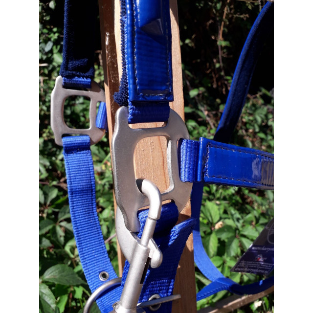 Licol bleu roi taille cob