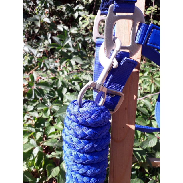 Licol bleu roi taille cob