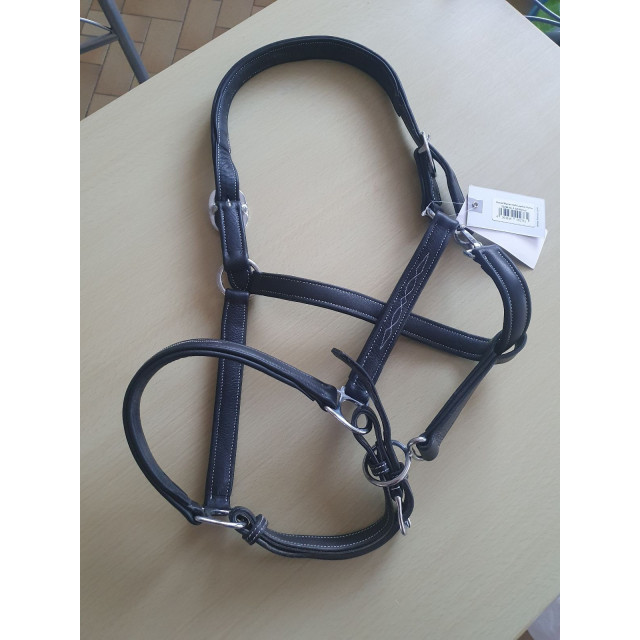 Licol cuir neuf cheval