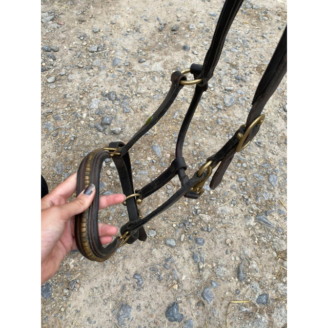 Licol cuir marron avec strass/déco or taille poney