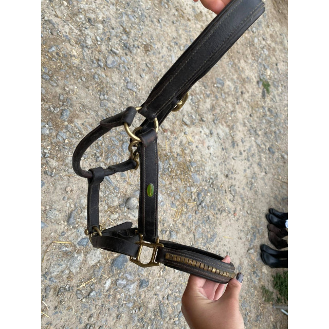 Licol cuir marron avec strass/déco or taille poney