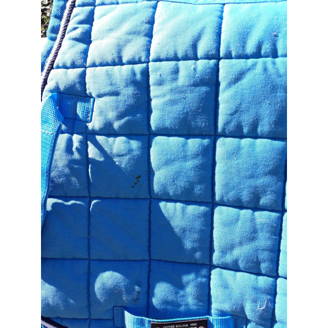 Tapis bleu coupé sport