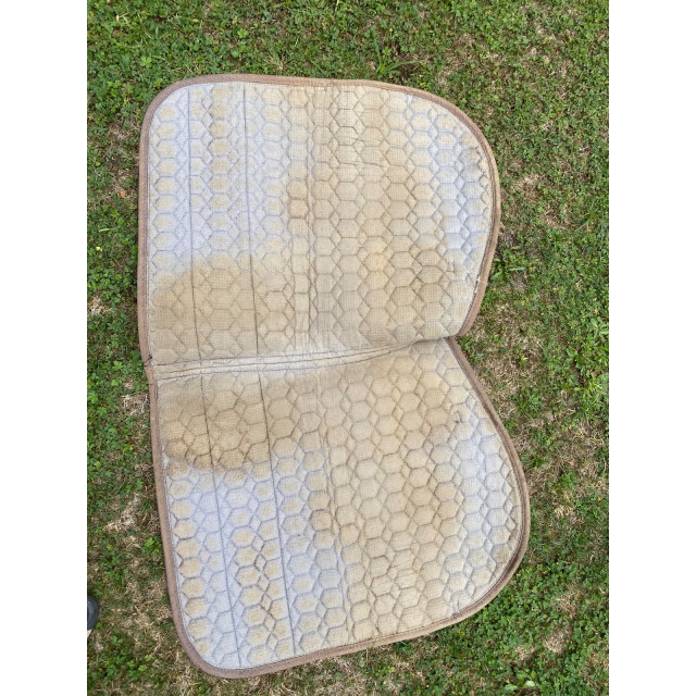 tapis dressage