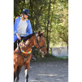 Bottes d’équitation FOUGANZA en caoutchouc