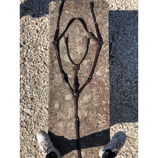 Collier de chasse 5 points Silver Crown