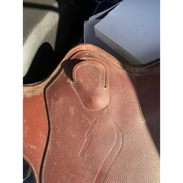 Sangle bavette courte antares