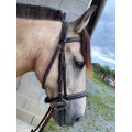 Bridon poney horze