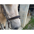 Bridon poney horze