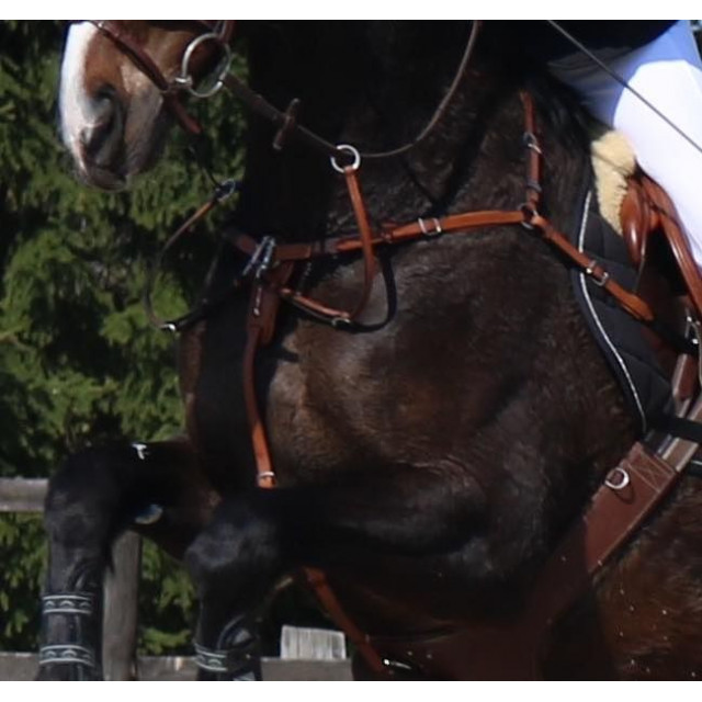 Collier de chasse EQUIPE