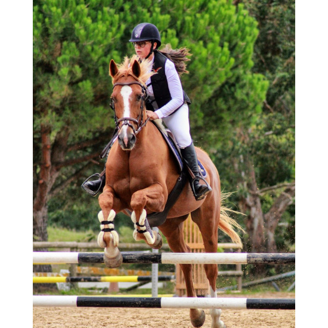 Bombe Charles Owen AYR8