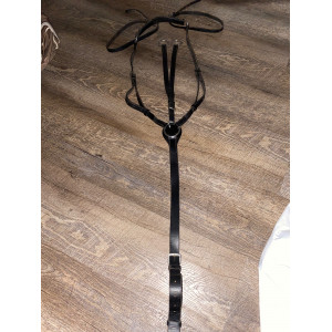 Collier de chasse + martingale