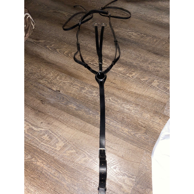 Collier de chasse + martingale