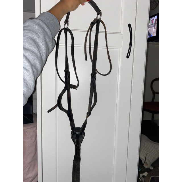 Collier de chasse + martingale