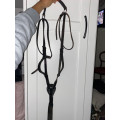 Collier de chasse + martingale