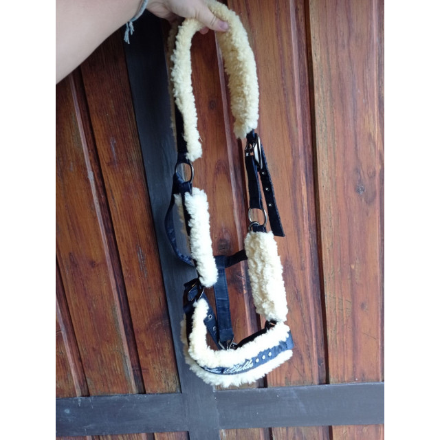 Licol mouton bleu marine