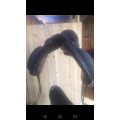 Selle dressage CWD