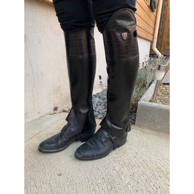 Chaps tattini