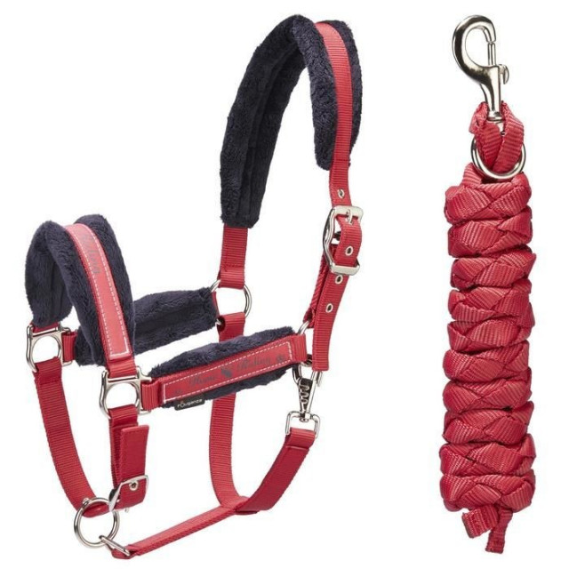 Pack licol + longe équitation cheval et poney WINNER rouge