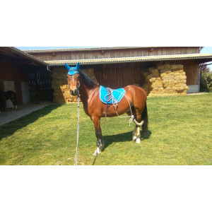 Ensemble équithème bleu