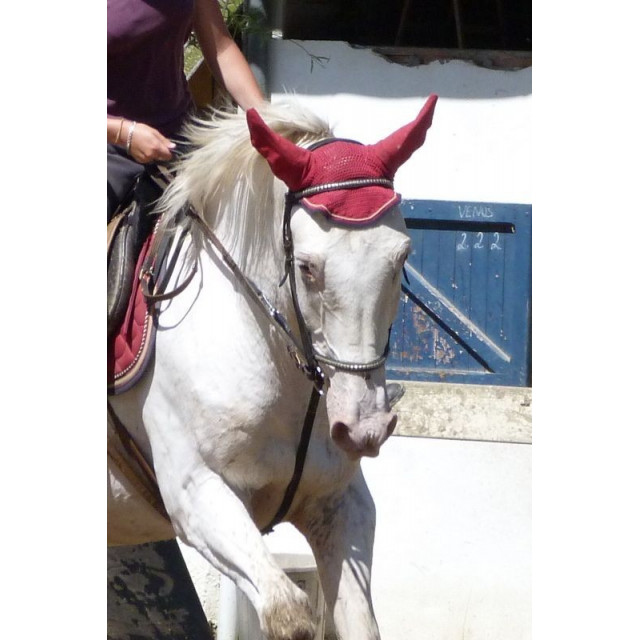 Bonnet anti-mouche taille cheval grandes oreilles