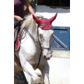 Bonnet anti-mouche taille cheval grandes oreilles