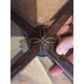 Bridon cwd