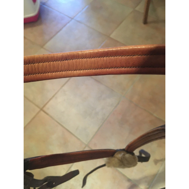 Bridon cwd