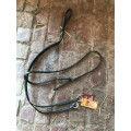Martingale poney