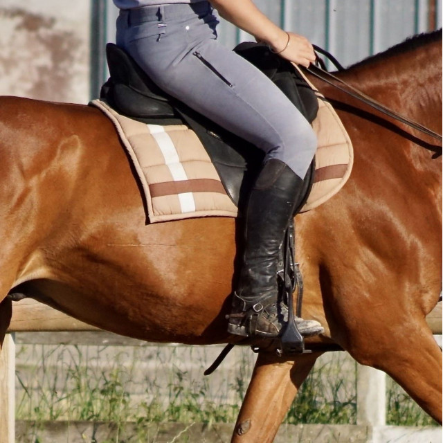 Selle dressage Isabel Werth 17,5" CAIR