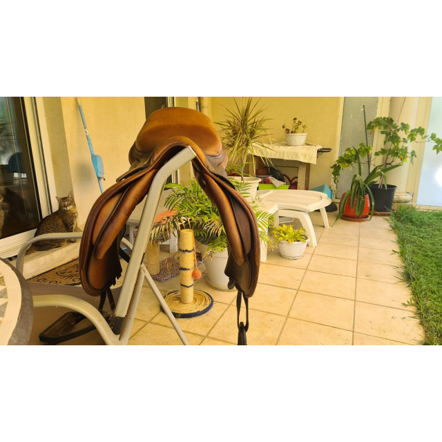 Selle Antarès Spooner 17"