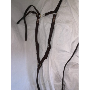 Collier de chasse CWD