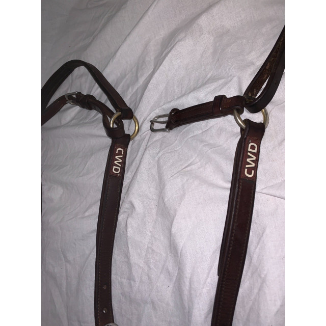 Collier de chasse CWD