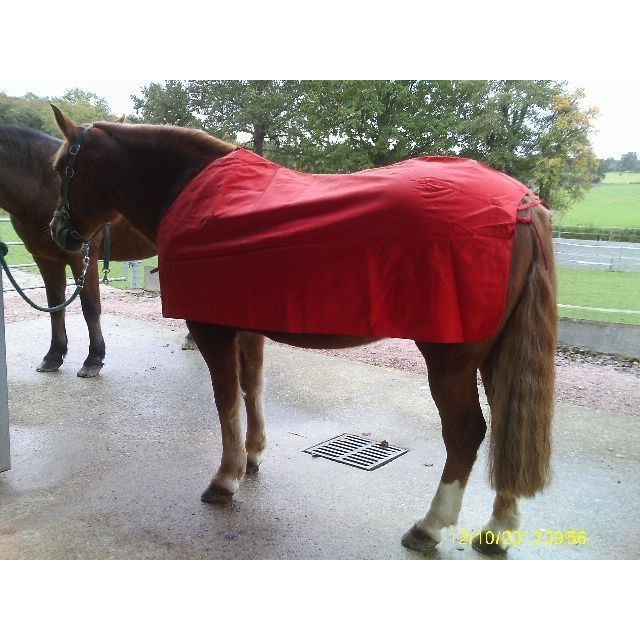 Courture de Pluie  Taille 135