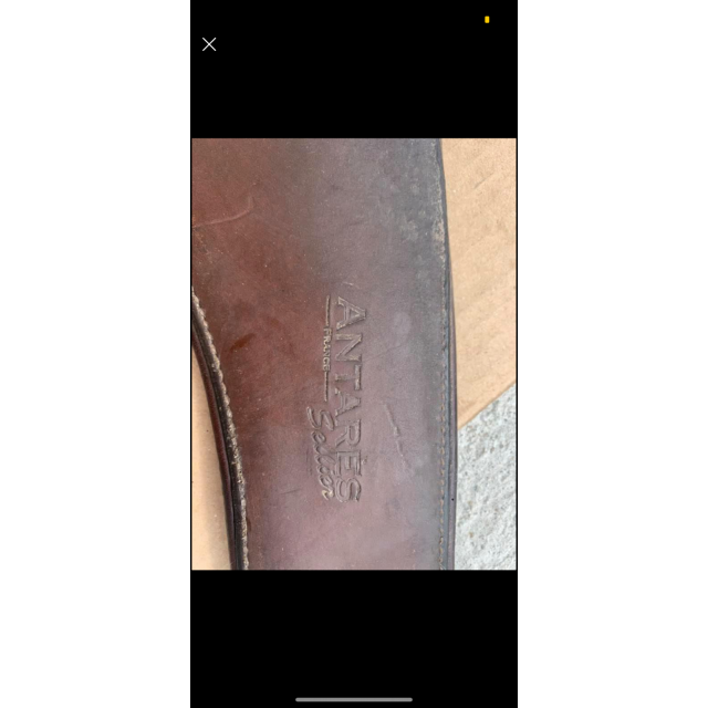 Sangle Antares cuir 130 élastique jusqu’à 135