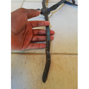 Muserolle croisée avec frontal