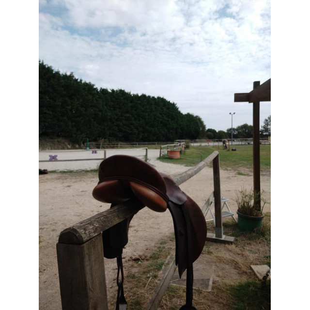 Selle Trainer's