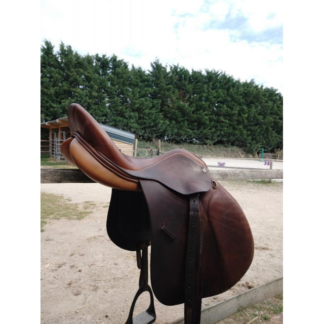 Selle Trainer's