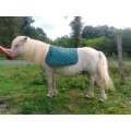 Tapis Vert sapin shet/poney