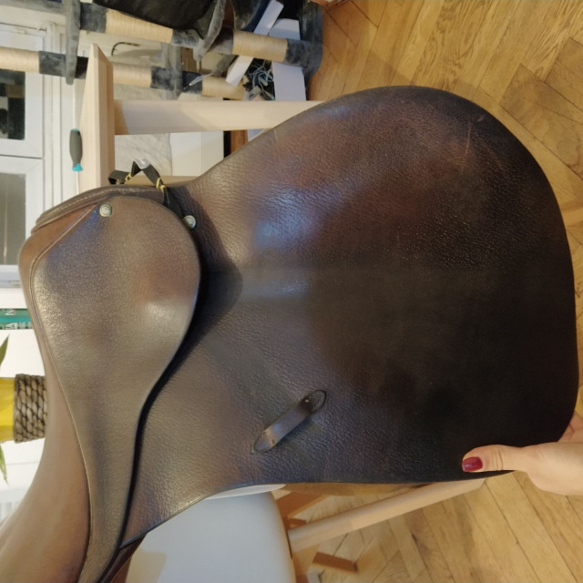 Selle mixte stubben