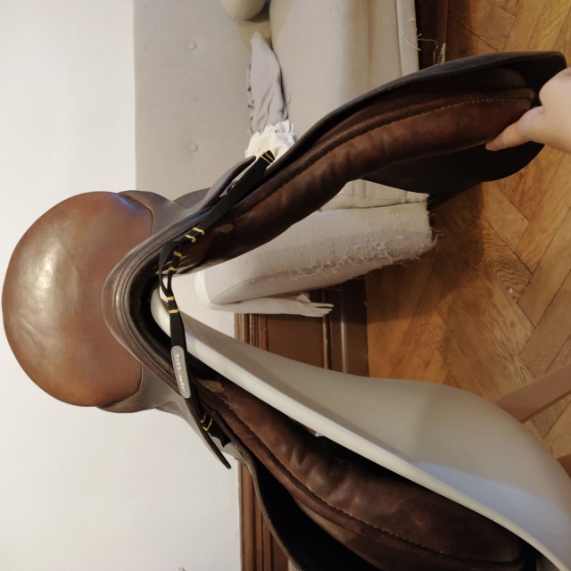 Selle mixte stubben