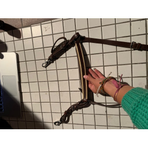 Collier de chasse cob