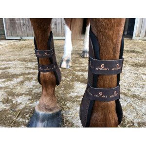 Guêtres Kentucky - Cheval élastiques marron
