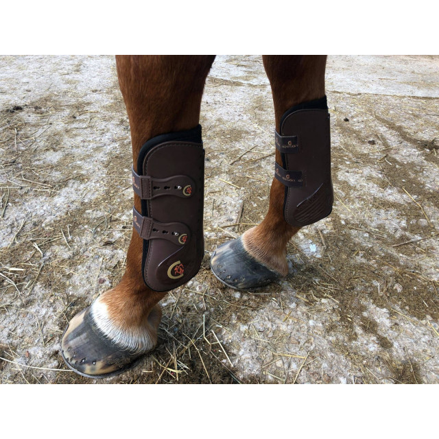 Guêtres Kentucky - Cheval élastiques marron