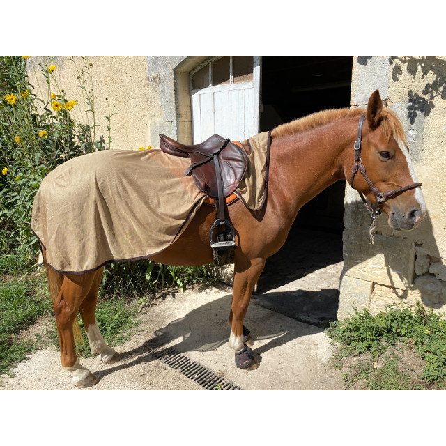 Couvre reins anti mouches
