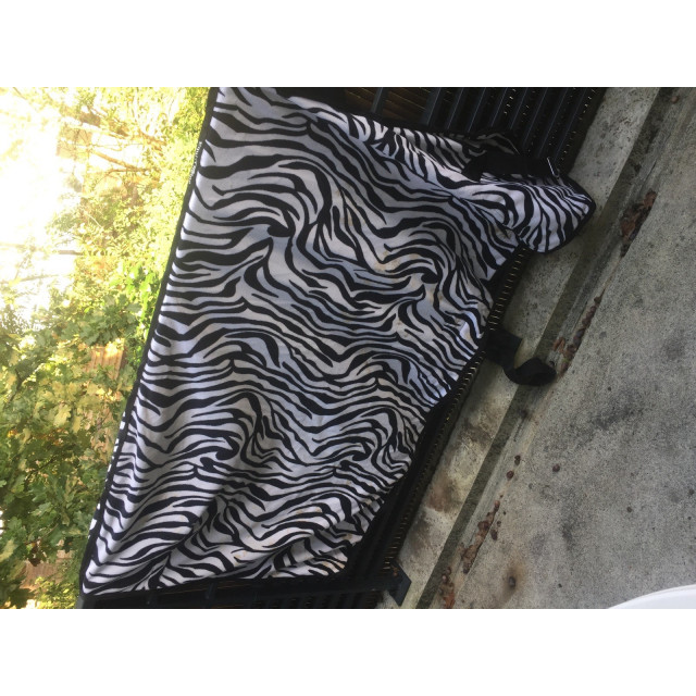 Couverture polaire zèbre