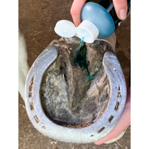 Antiseptique cicatrisant fourchette 250 ml