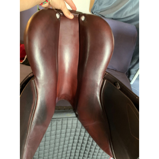 Selle CWD