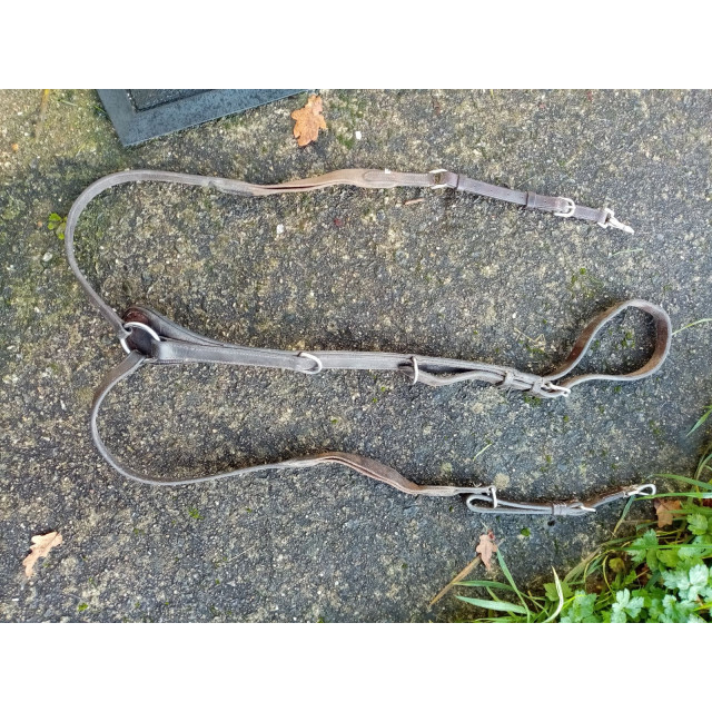 Collier de chasse cob